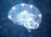 Bagaimana Otak Memilih Informasi yang Perlu Diingat