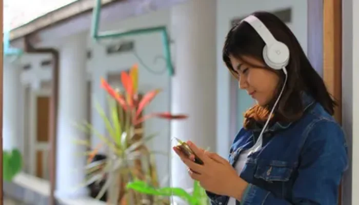 Mengapa Kita Bisa Menyukai Lagu Tertentu