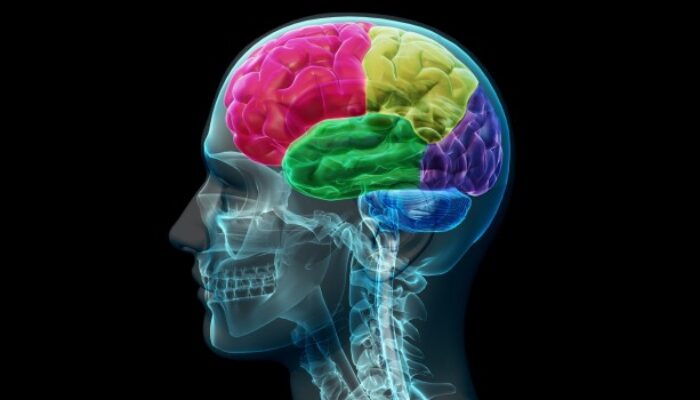 Otak Kita Bisa Tertipu Warna dan Ini Penjelasannya