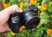 Review Nikon Z30 Kecil Tapi Siap Temani Hari Produktif