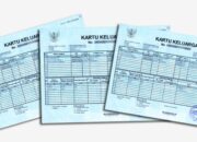 KK Digital Langsung Jadi PDF Gratis di HP