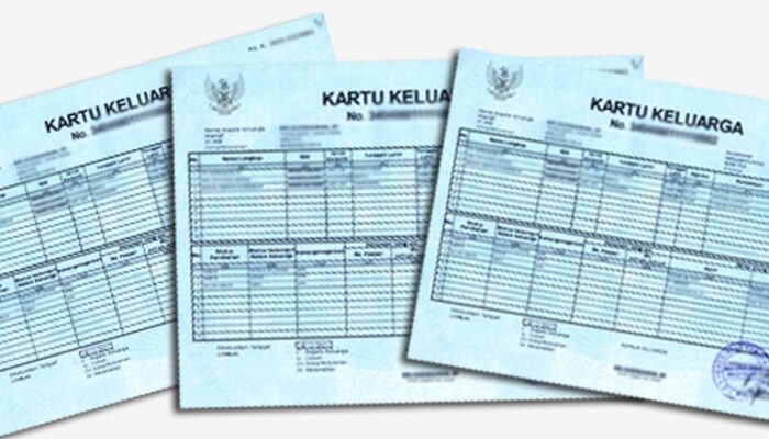 KK Digital Langsung Jadi PDF Gratis di HP