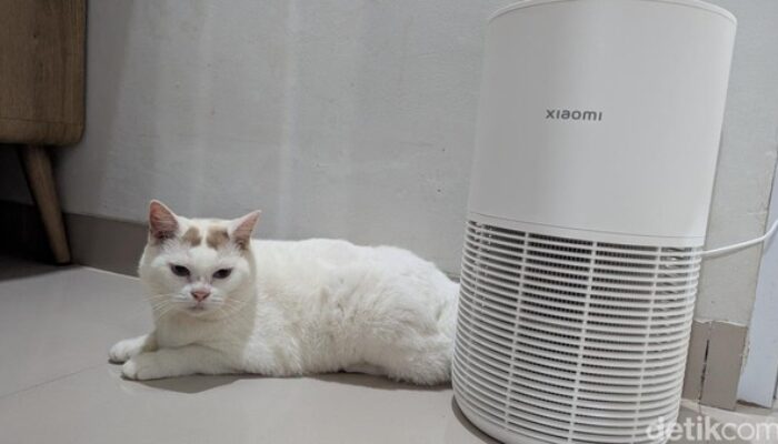 Review Xiaomi Smart Pet Care Air Purifier Majikan Sehat, Anabul Tenang