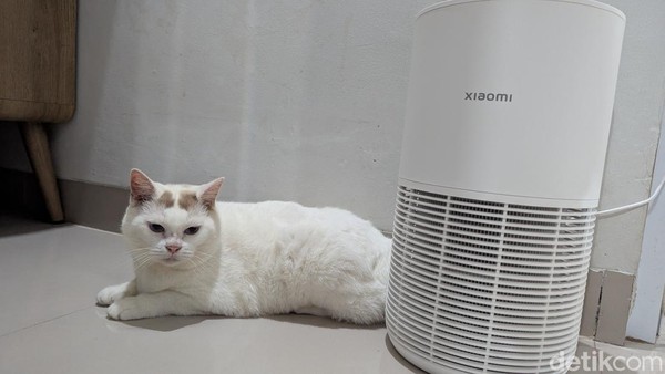 Review Xiaomi Smart Pet Care Air Purifier Majikan Sehat, Anabul Tenang