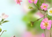 Bikin Desktop PC & Laptop Lebih Hidup dengan Live Wallpaper, Ini Caranya!