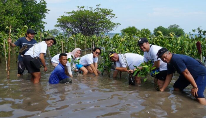 Sharp Indonesia Lestarikan Laut, Aksi Nyata untuk Ekosistem Pesisir!