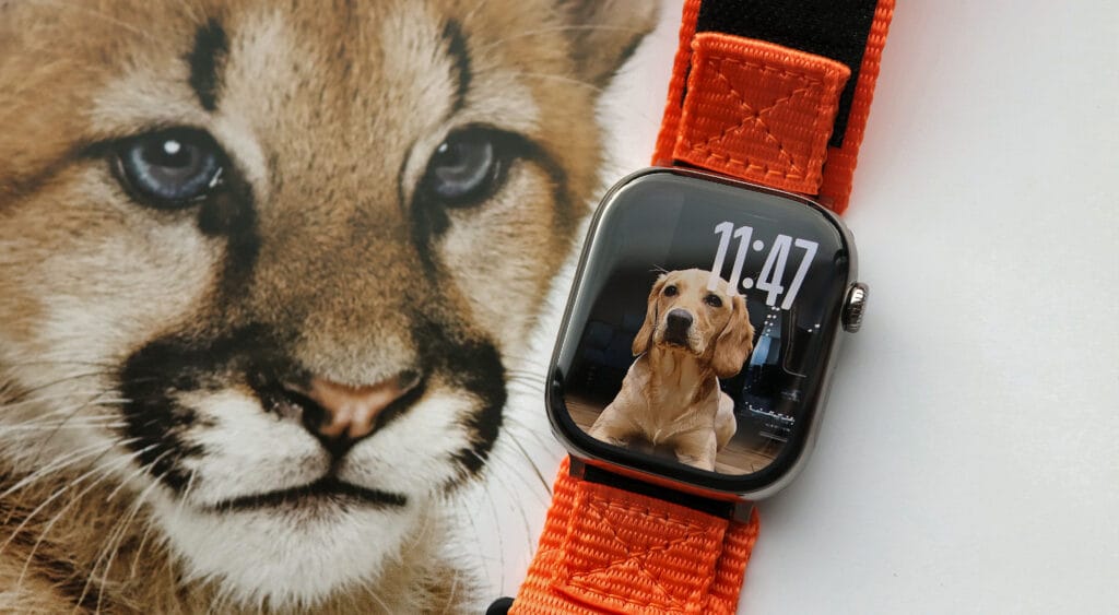 watchOS 26, Siap-siap Terpukau dengan Tampilan "Liquid Glass" dan Kecerdasan Buatan Baru!