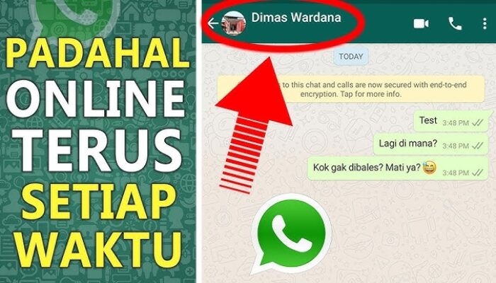 Biar Gak Ketahuan Online di WhatsApp? Ini Trik Simpelnya!