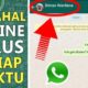 Biar Gak Ketahuan Online di WhatsApp Ini Trik Simpelnya!