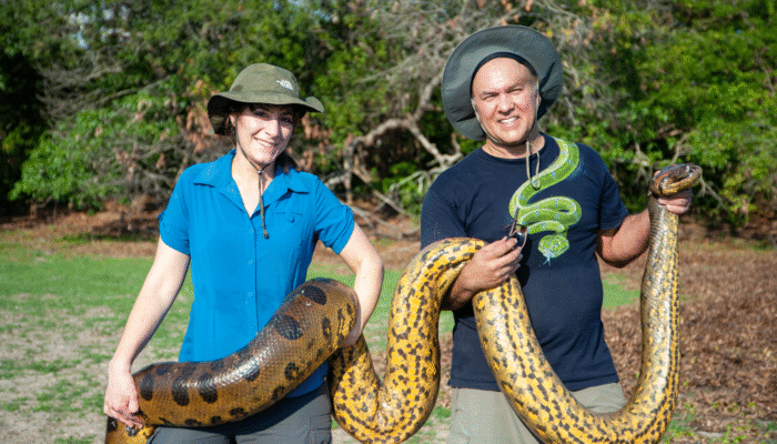 Anaconda Raksasa di Sungai? Penampakan dari Udara Bikin Merinding!