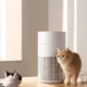 Xiaomi Smart Pet Care Air Purifier, Bikin Hewan Peliharaan Lebih Bahagia?