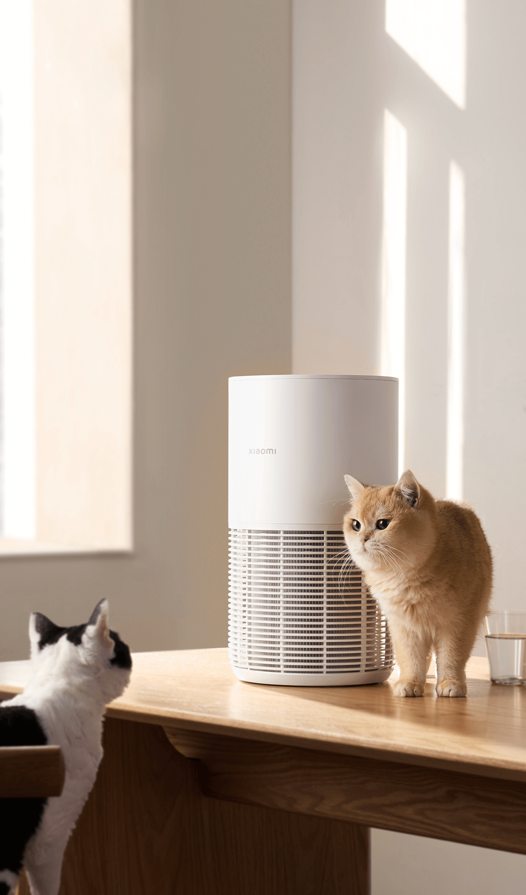 Xiaomi Smart Pet Care Air Purifier, Bikin Hewan Peliharaan Lebih Bahagia?