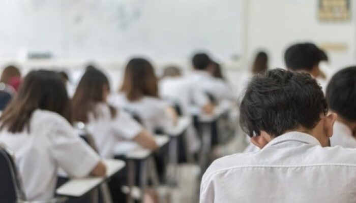 Gampang! Begini Cara Cek Status Penerima PIP 2025 Lewat Sipintar