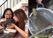 Zara Qairina Viral, Akhirnya Terungkap! Ini yang Sebenarnya Terjadi