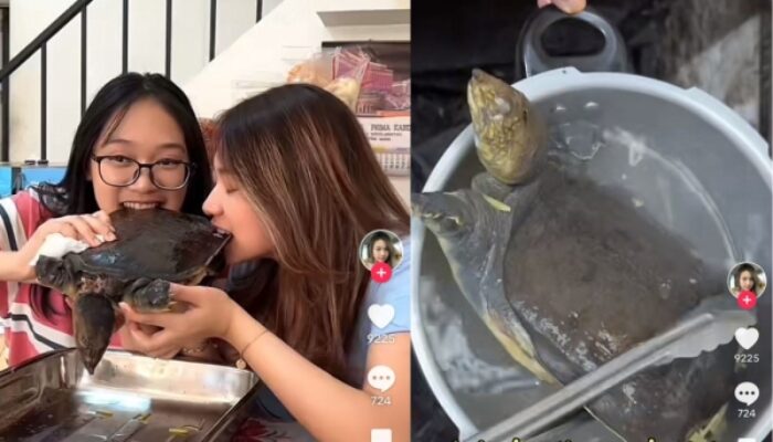 Zara Qairina Viral, Akhirnya Terungkap! Ini yang Sebenarnya Terjadi