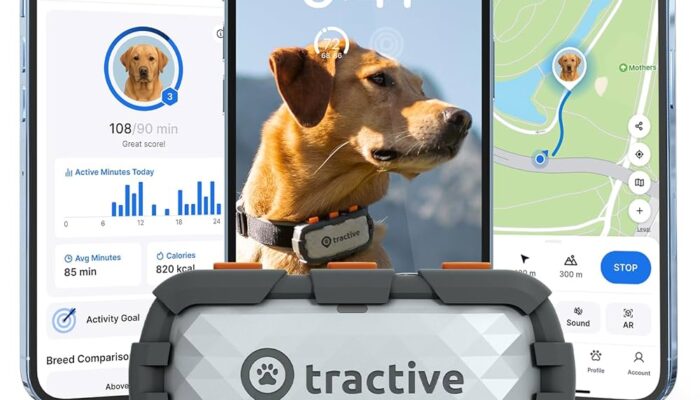 XLSMART Meroket Usai Merger, Kok Bisa Pelanggan Tembus 82 Juta?