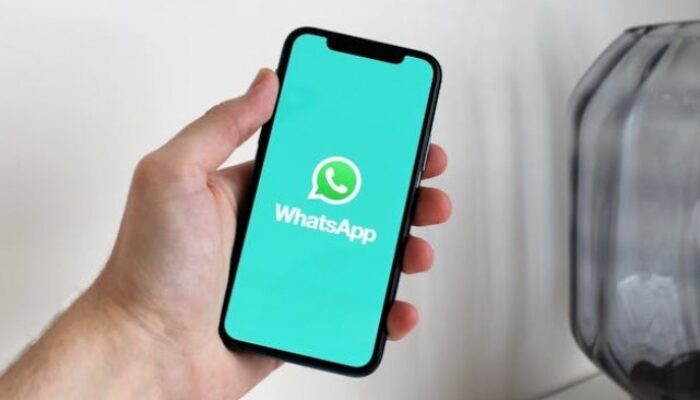 Lupa Nomor WhatsApp yang Diblokir? Intip Yuk di Android & iPhone!