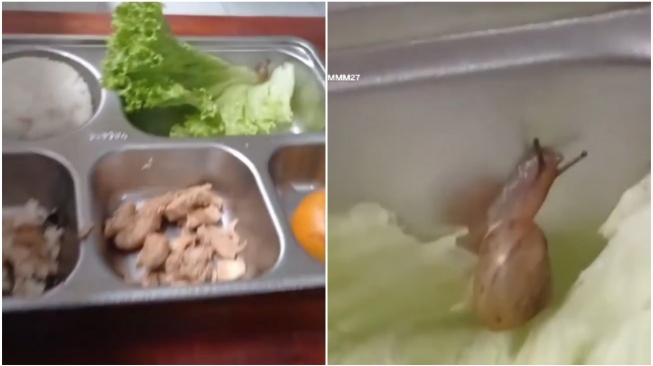 Siput Nyasar di Menu MBG? Kok Bisa Jadi Pengen Escargot, Ya!