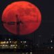 Jangan Lewatkan Supermoon 5 November 2025, Saksikan Bulan Purnama Terbesar Tahun Ini!