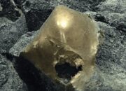 Penemuan Aneh di Laut Alaska, Bola Emas Misterius Bikin Ilmuwan Garuk Kepala