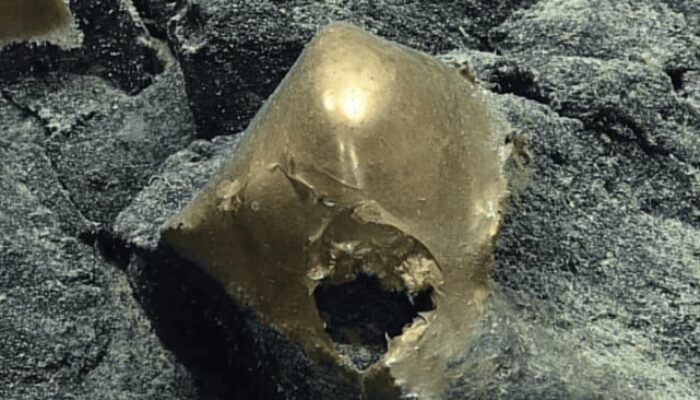 Penemuan Aneh di Laut Alaska, Bola Emas Misterius Bikin Ilmuwan Garuk Kepala
