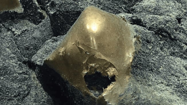 Penemuan Aneh di Laut Alaska, Bola Emas Misterius Bikin Ilmuwan Garuk Kepala