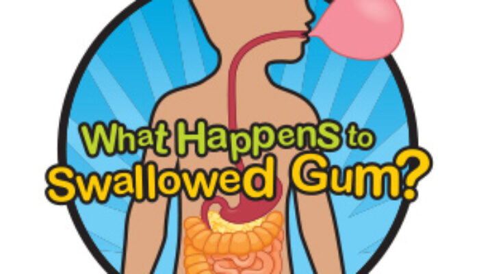 Benarkah Menelan Permen Karet Berbahaya? Ini Faktanya!