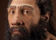 Ternyata Ini Bedanya Wajah Kita dengan Neanderthal, Penasaran?
