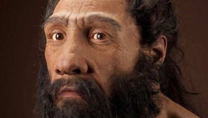 Ternyata Ini Bedanya Wajah Kita dengan Neanderthal, Penasaran?