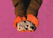 Bupati Ini Bilang Tanah Banjir Oke Buat Sawit? Serius Deh?