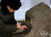 Batu Luar Angkasa 2,8 Ton Disamarkan Jadi Dekorasi Taman