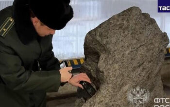 Batu Luar Angkasa 2,8 Ton Disamarkan Jadi Dekorasi Taman