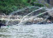 Cisadane Tercemar 2,5 Ton Pestisida BRIN Wanti Wanti Bahaya