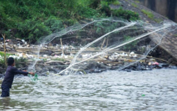 Cisadane Tercemar 2,5 Ton Pestisida BRIN Wanti Wanti Bahaya