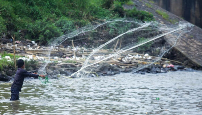 Cisadane Tercemar 2,5 Ton Pestisida BRIN Wanti Wanti Bahaya