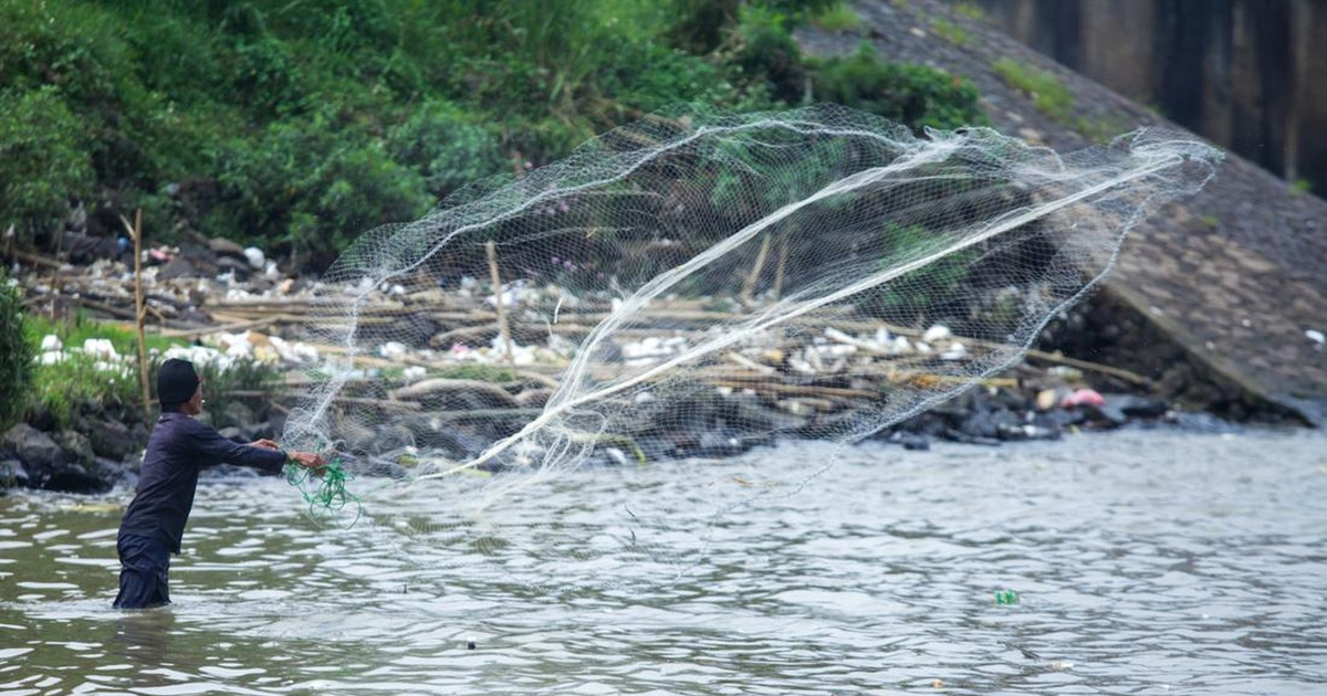 Cisadane Tercemar 2,5 Ton Pestisida BRIN Wanti Wanti Bahaya