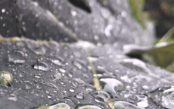 Hujan Deras Kini Bisa Jadi Listrik Gratis Begini Caranya