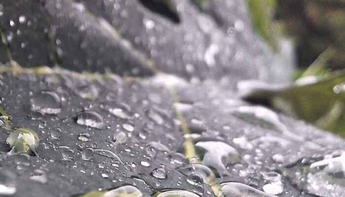 Hujan Deras Kini Bisa Jadi Listrik Gratis Begini Caranya