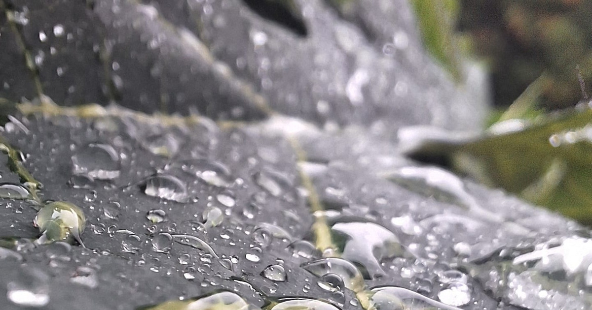 Hujan Deras Kini Bisa Jadi Listrik Gratis Begini Caranya