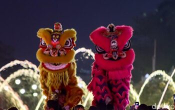 Imlek 2026 Status WA Profesionalmu Auto Naik Level!