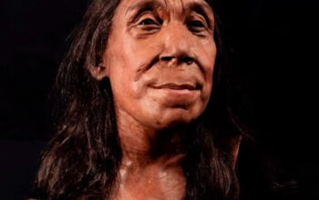 Misteri Kepercayaan Neanderthal Jejak Spiritual Manusia Purba