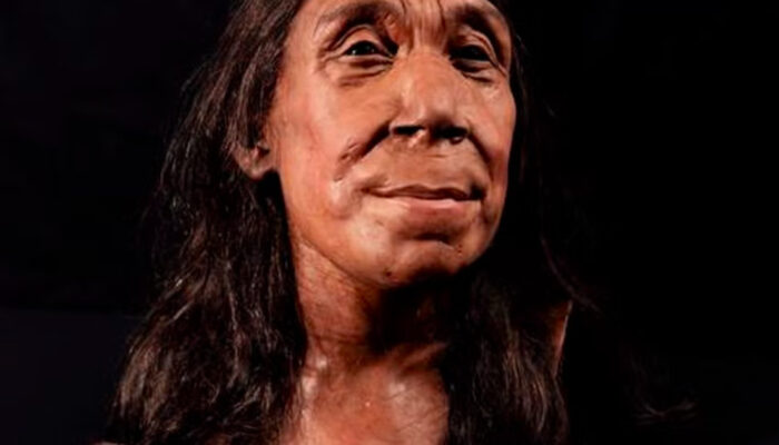 Misteri Kepercayaan Neanderthal Jejak Spiritual Manusia Purba