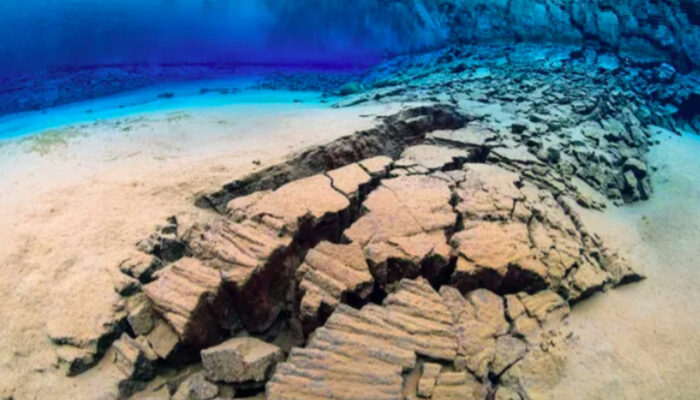 Misteri Mikroba Tidur Jutaan Tahun di Bawah Bumi Terungkap Sudah