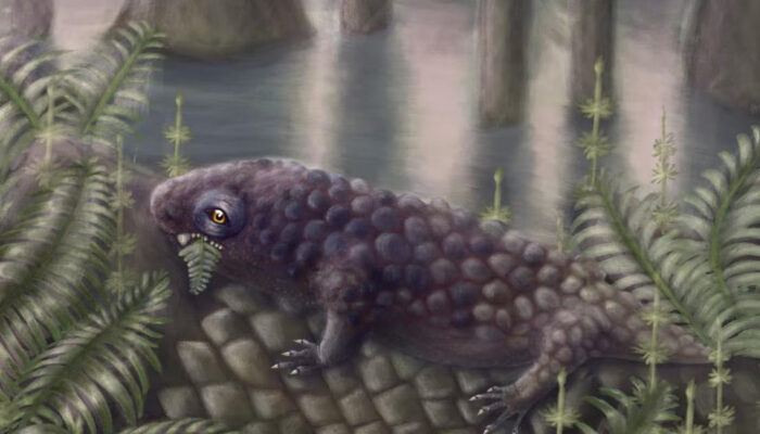 Misteri Terpecahkan Fosil 307 Juta Tahun Ungkap Rahasia Diet Purba