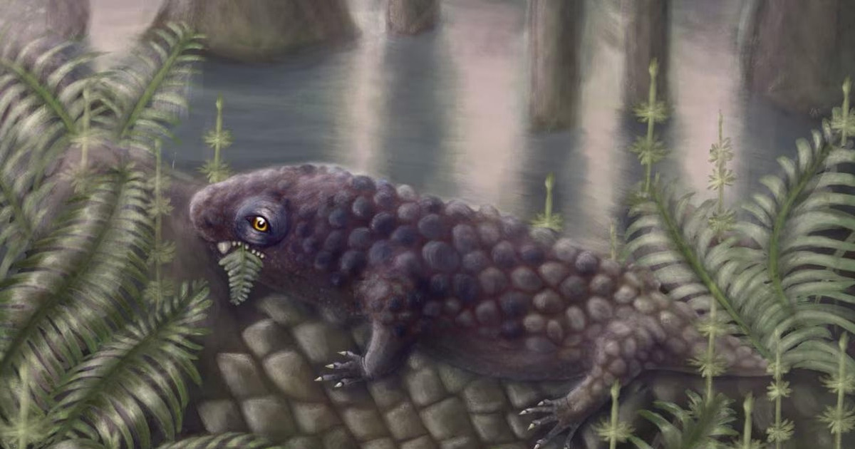 Misteri Terpecahkan Fosil 307 Juta Tahun Ungkap Rahasia Diet Purba