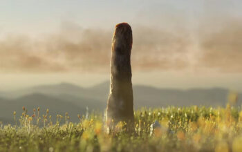 Organisme 9 Meter Ini Lebih Tua dari Dinosaurus Bikin Bingung