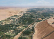 Rahasia Oasis Bertembok 4.000 Tahun Arab Saudi Terbongkar