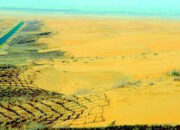 Tembok Hijau Raksasa China Ambisi Gila atau Solusi Bumi?