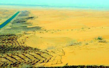 Tembok Hijau Raksasa China Ambisi Gila atau Solusi Bumi?