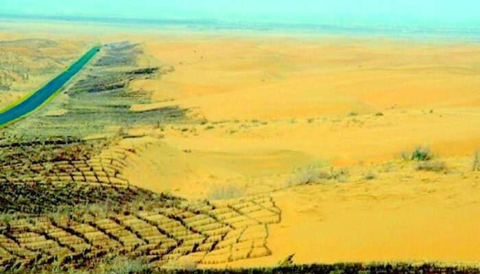 Tembok Hijau Raksasa China Ambisi Gila atau Solusi Bumi?